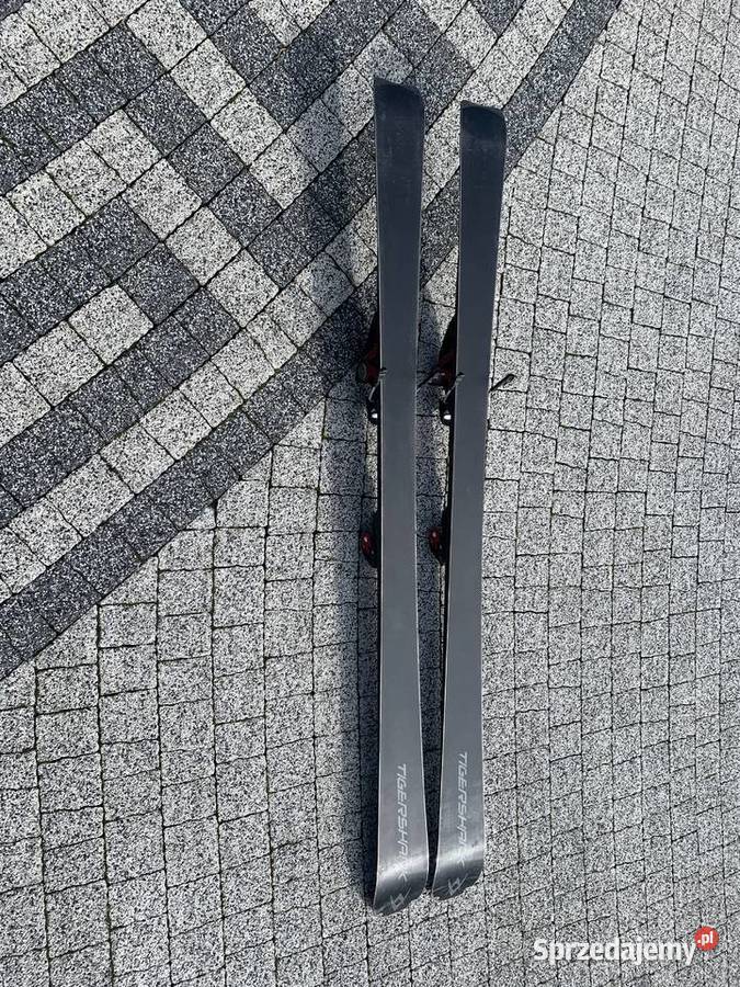 Volkl TigerSharks 160 Łódź