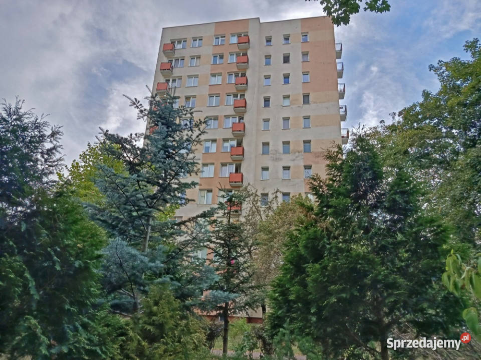 Saska Kępa Międzynarodowa sprzedam bezpośrednio 14680zł/m2 Warszawa