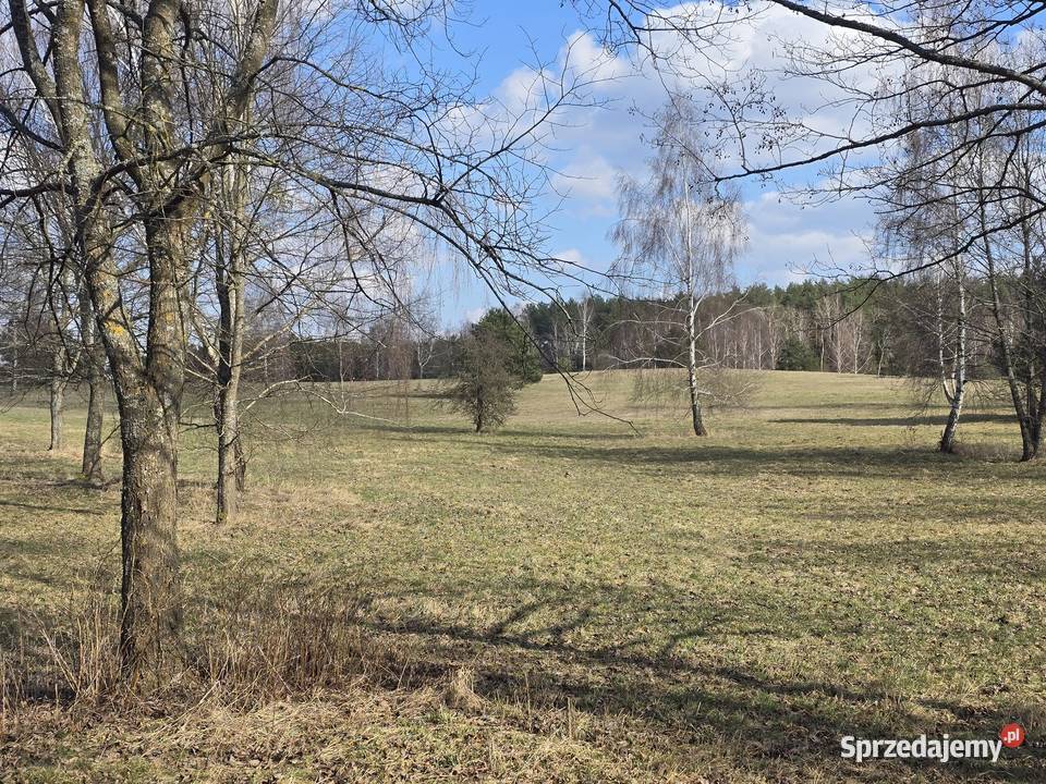 Linia brzegowa Śniardwy Kwik sprzedam