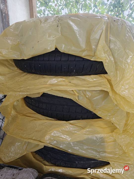 Opony Pirelli 1955235 letnie