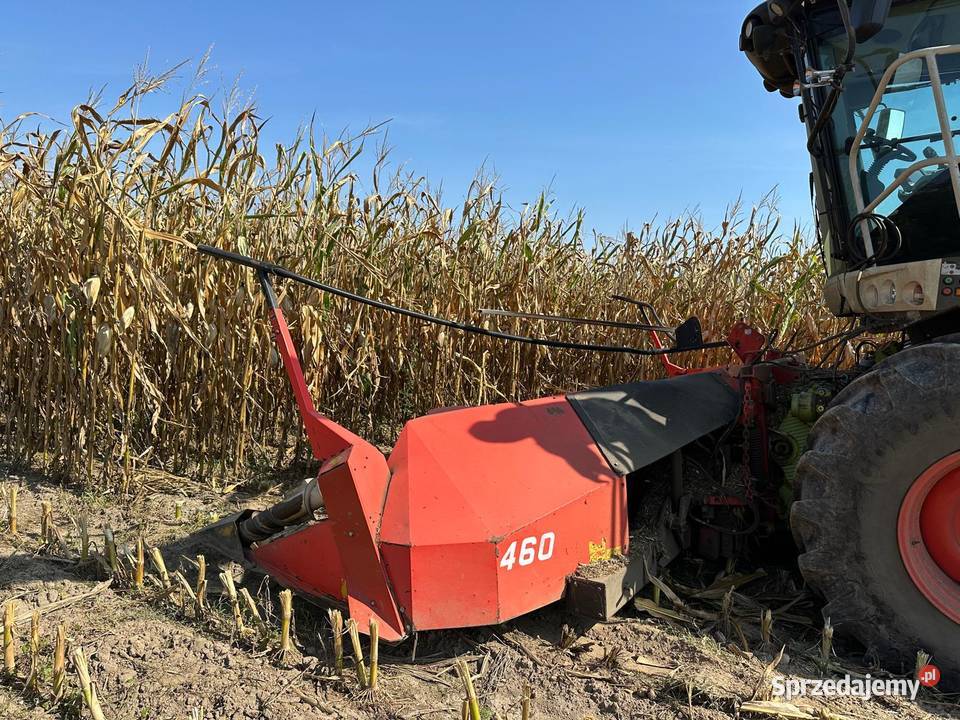 Sprzedam kemper nieuszkodzony Pozostałe Gołoniwy