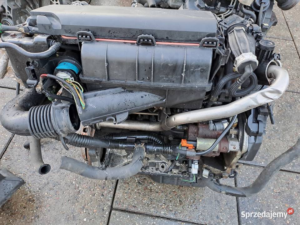 Ford Fiesta Fusion 14 TDCi silnik kompletny kod silniki kompletne Jastrzębie-Zdrój