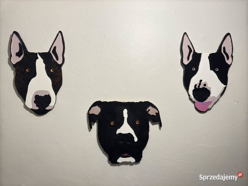 Prezent miłośnika motoryzacji zwierząt sportu Bystrzyca Kłodzka sprzedam