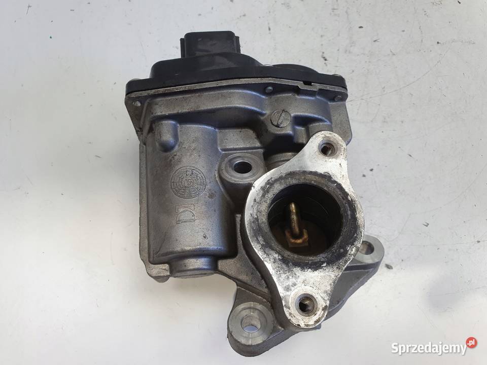 Renault Kangoo II 15 DCI ZAWÓR EGR H8201143495 Rudka sprzedam