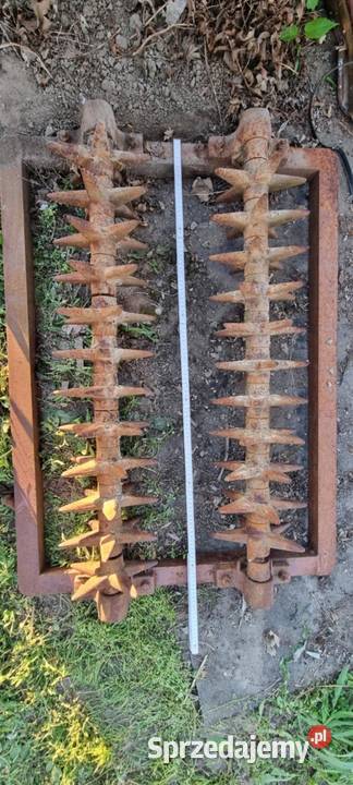 Kolczatka do pługa kujawsko-pomorskie