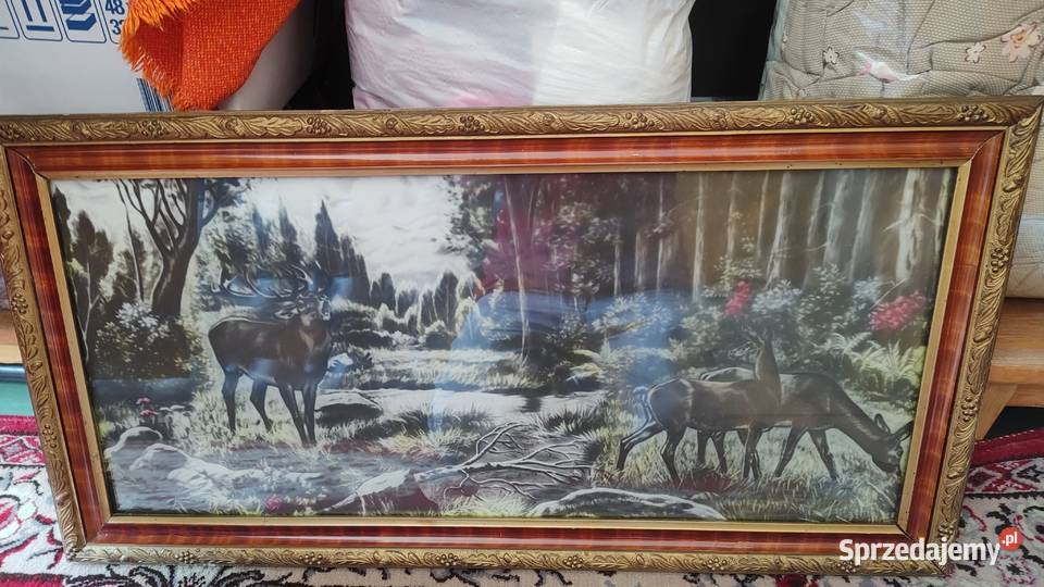 obraz jelenie na rykowisku Aleksandrów Łódzki