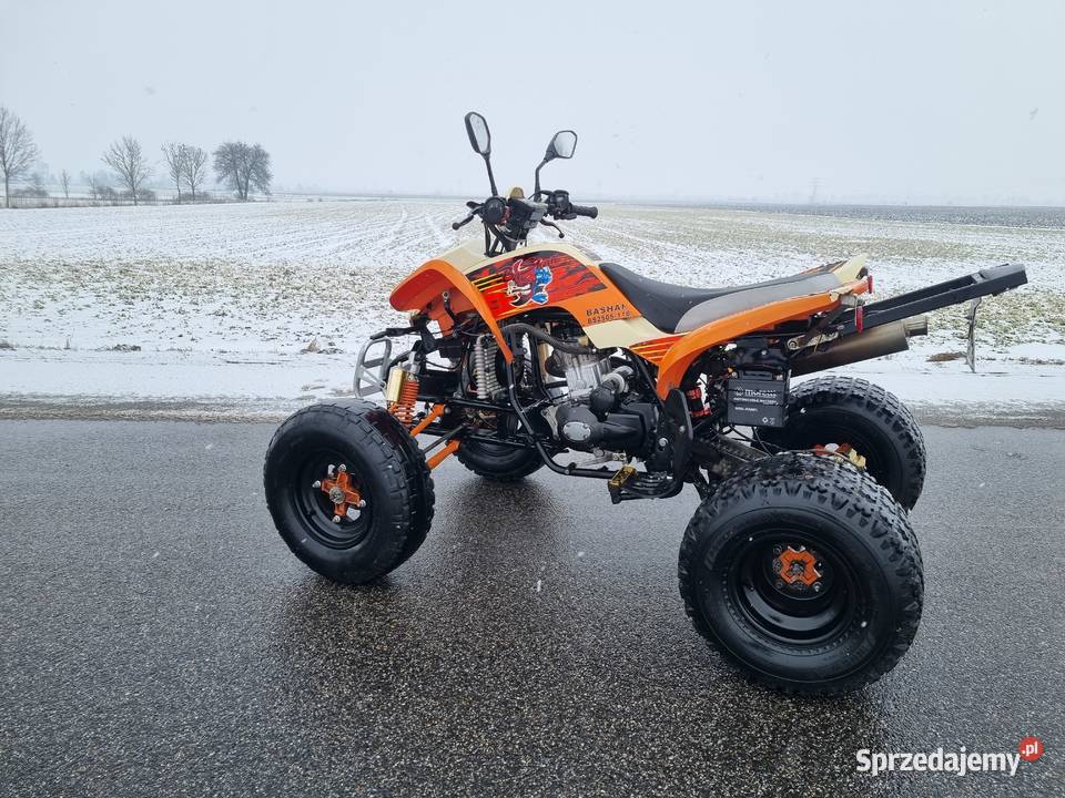 Quad Bashan EGL 250cc Zarejestrowany Kat B Ciecz kujawsko-pomorskie Kruszwica
