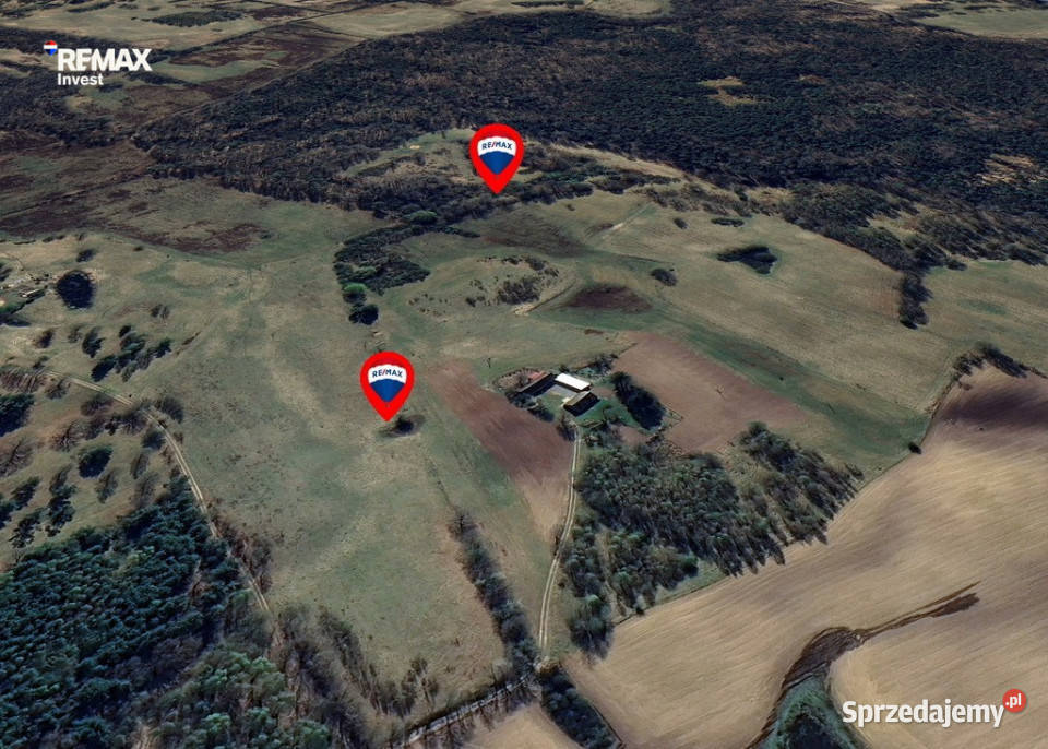 Na przedaż kompleks działek 146500m2 Nowe Worowo 146500m2