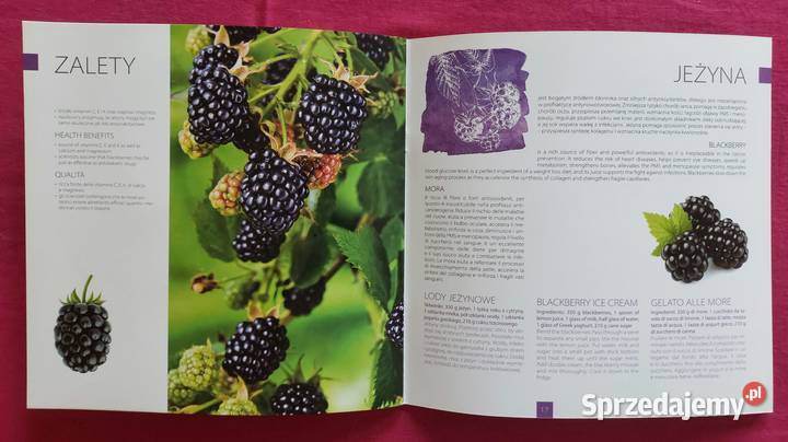 Folder Poczta Polska Światowa wystawa EXPO 2015