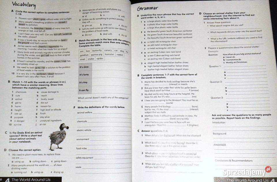 Teen Explorer Język angielski Kl 8 A Bandis Chełm