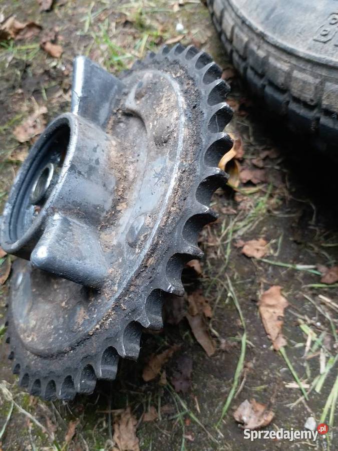 Zabierakzębatka tył WSK 175 Gorzów Wielkopolski sprzedam