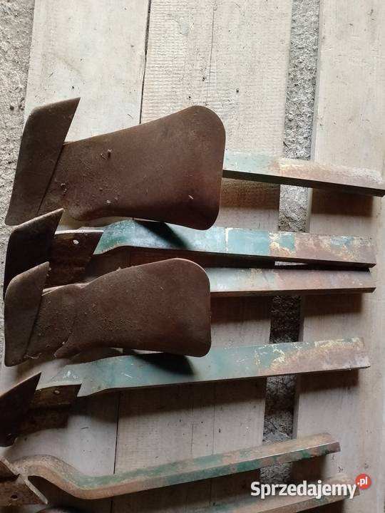 Przedpłużki vogel noot Brzezówka