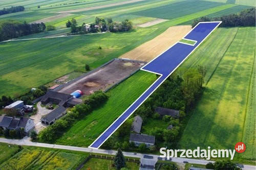 Teren inwestycyjny 9538 m2 z WZ Borki Jędrzejów 9538m2 sprzedam