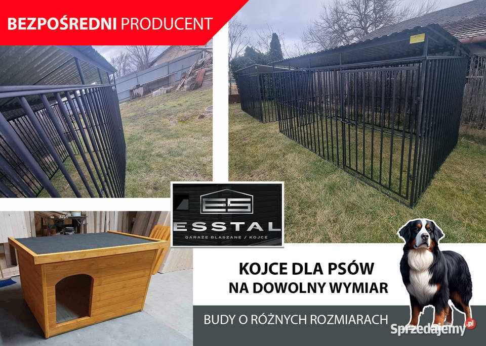 Kojec Psa 3x2 Szybka Dostawa KOJCE ESSTAL Bełchatów sprzedam