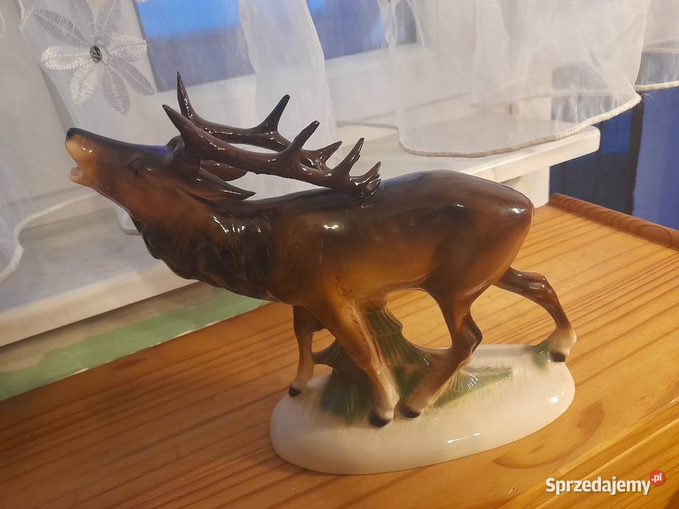 Jeleń na rykowisku Scheidig KG Kostrzyn nad Odrą