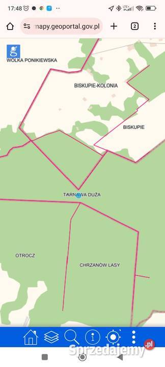 Działka lasu Biskupie