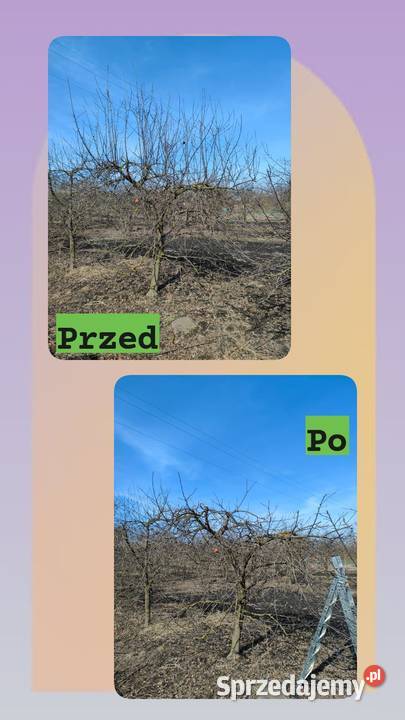 Usługa do działek ogrodów i prac przydomowych lubelskie Hrubieszów