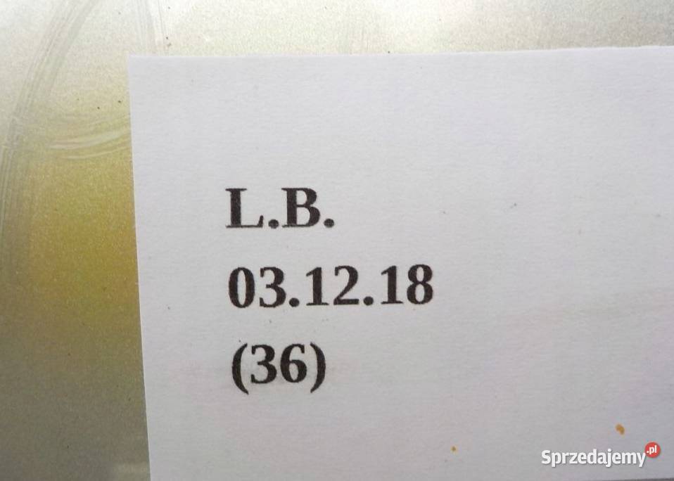 DRZWI LEWY TYŁ AUDI A4 B7 Nowy Tomyśl