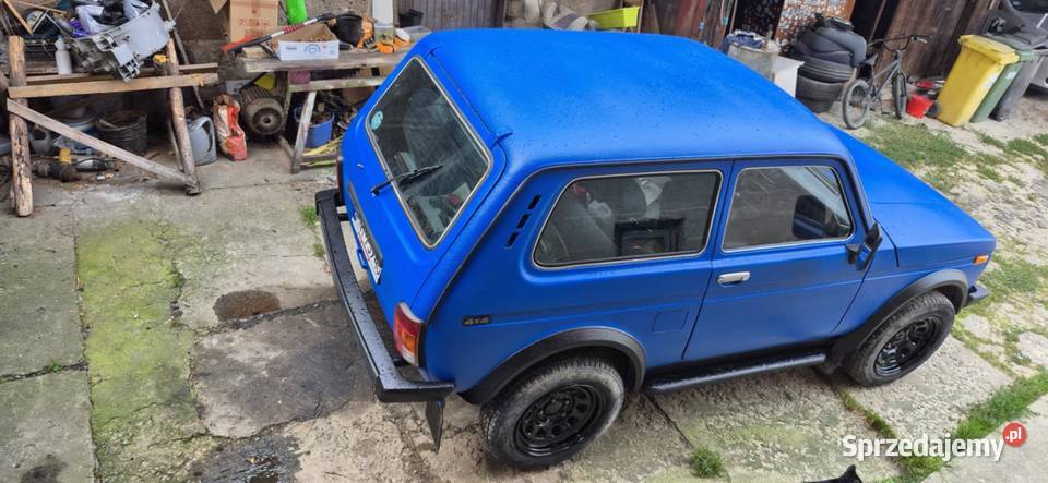 Lakierowanie RAPTOR Cobra Predator Rrangers Off