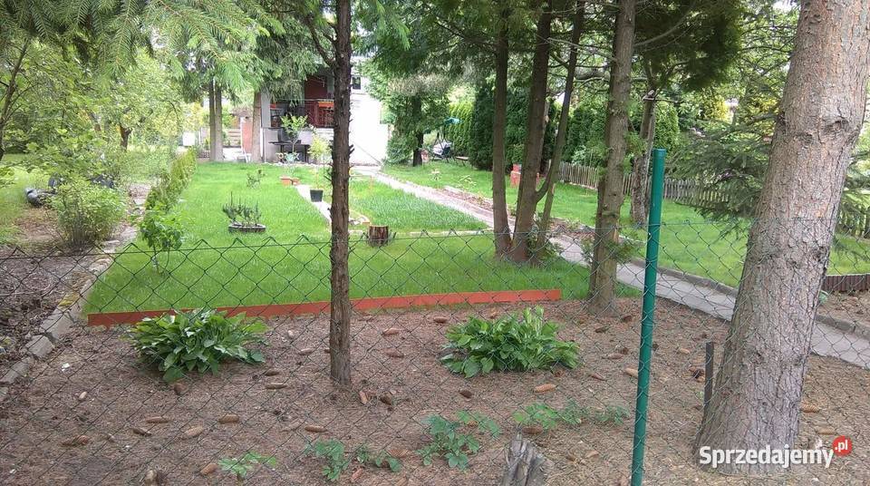 Sprzedam działkę ROD 500m Łódź sprzedam