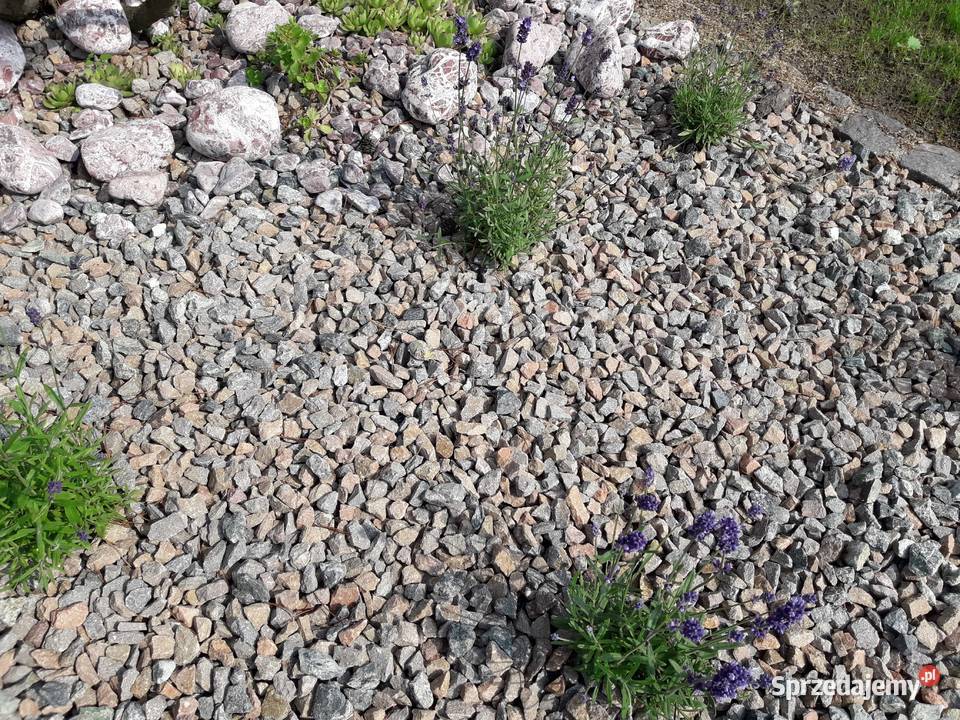 Grys porfirowy 816mm czerwony brązowy Kraków