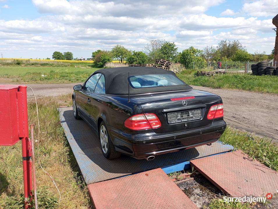MercedesBenz clk 32v6 automat kabriolet 3200cm3 CLK Gorzów Wielkopolski