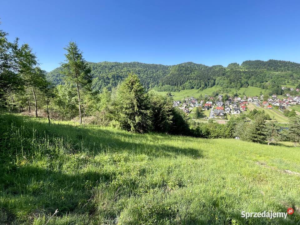 Działka rolna rekreacyjna Krościenko Dunajcem rekreacyjna Krościenko nad Dunajcem