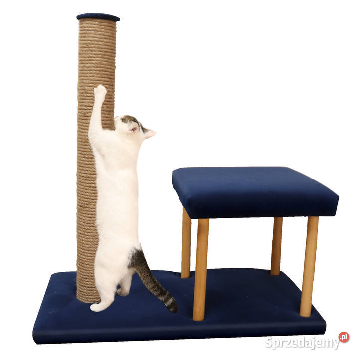 DRAPAK KOTA W NOWOCZESNYM STYLU funkcjonalny Katowice