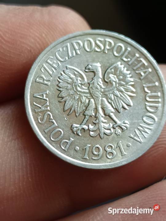 Sprzedam 20 gr 1981 r mala skretka Chełm