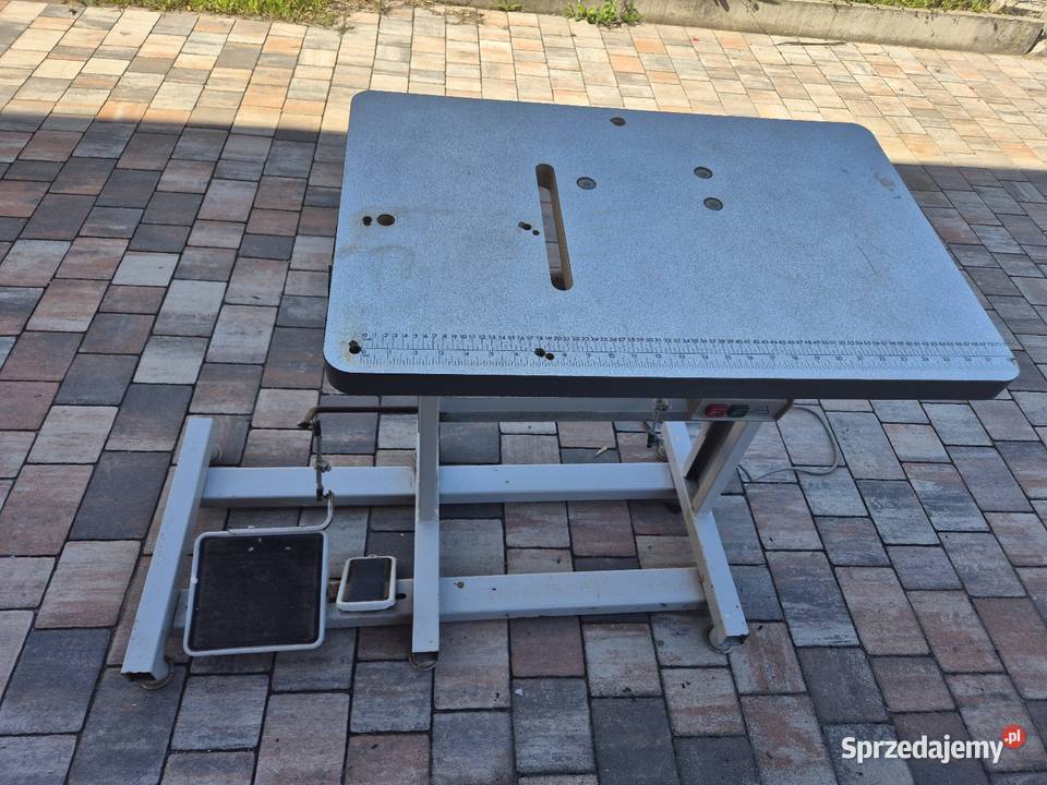 Rymarka praworamienna Warszawa