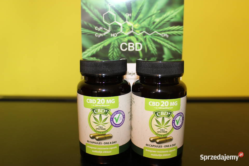Jacob Hooy CBD 20mg 60 Kapsułek Pozostałe Łódź sprzedam