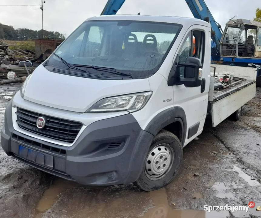 Transport usługi transportowe wywrotka transport Pszczyna