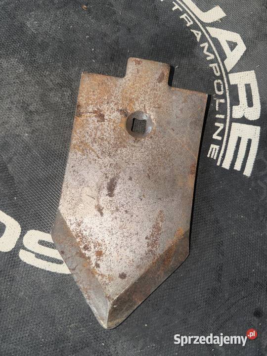 Redlica środkowaCzubek redlicy grubera Rolnictwo