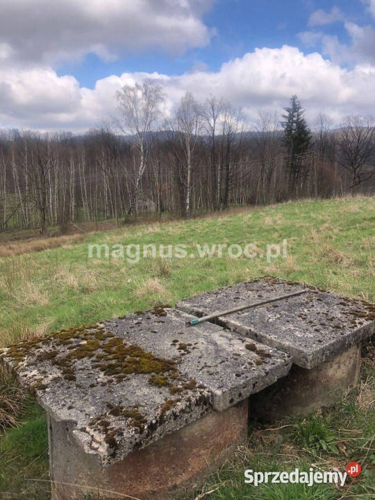 Na sprzedaż duża działka rolna bez mpz w u stóp Sprzedaż Sprzedaż dolnośląskie Olszyniec