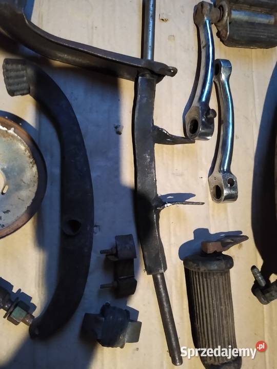 Żak ryś komar Pedał owiec pozostałość Pozostałe kujawsko-pomorskie Kruszwica