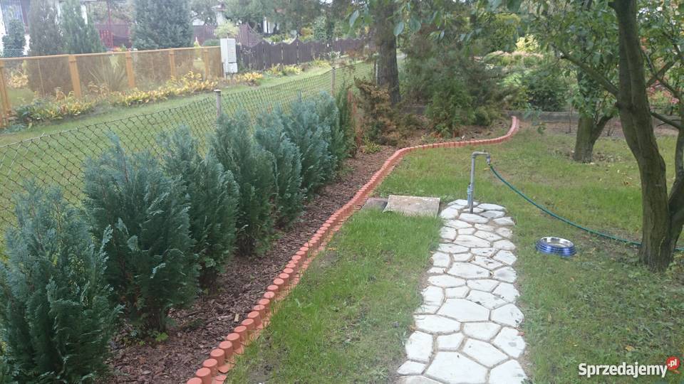 Działka rekreacyjna ROD Tęcza Złotniki