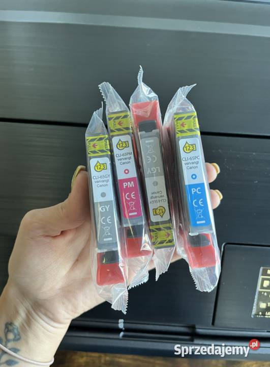 Canon Pixma pro 200 Ursynów