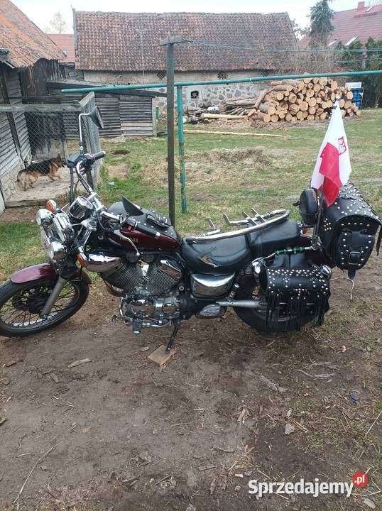 Yamaha Virago 535 nieuszkodzony warmińsko-mazurskie