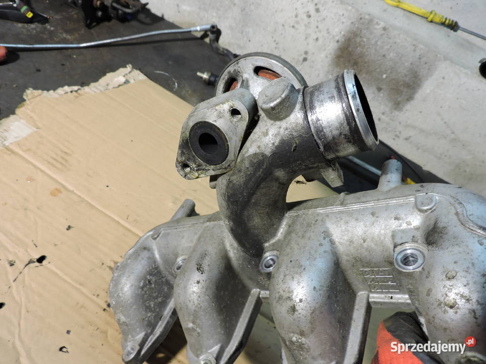 Kolektor ssący Ford focus mk1 18 TDCI osobowe Myszków