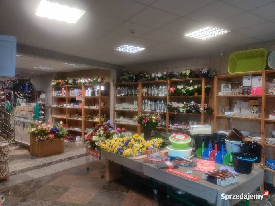 Lokal użytkowySadów ruchliwej drodze Sadów