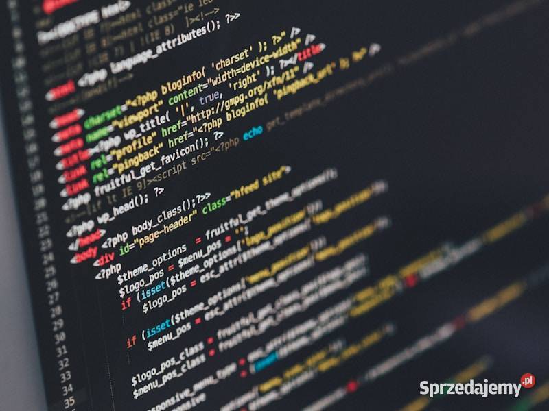 Programista Konsultacja tradingowa algorytmika Bielawa