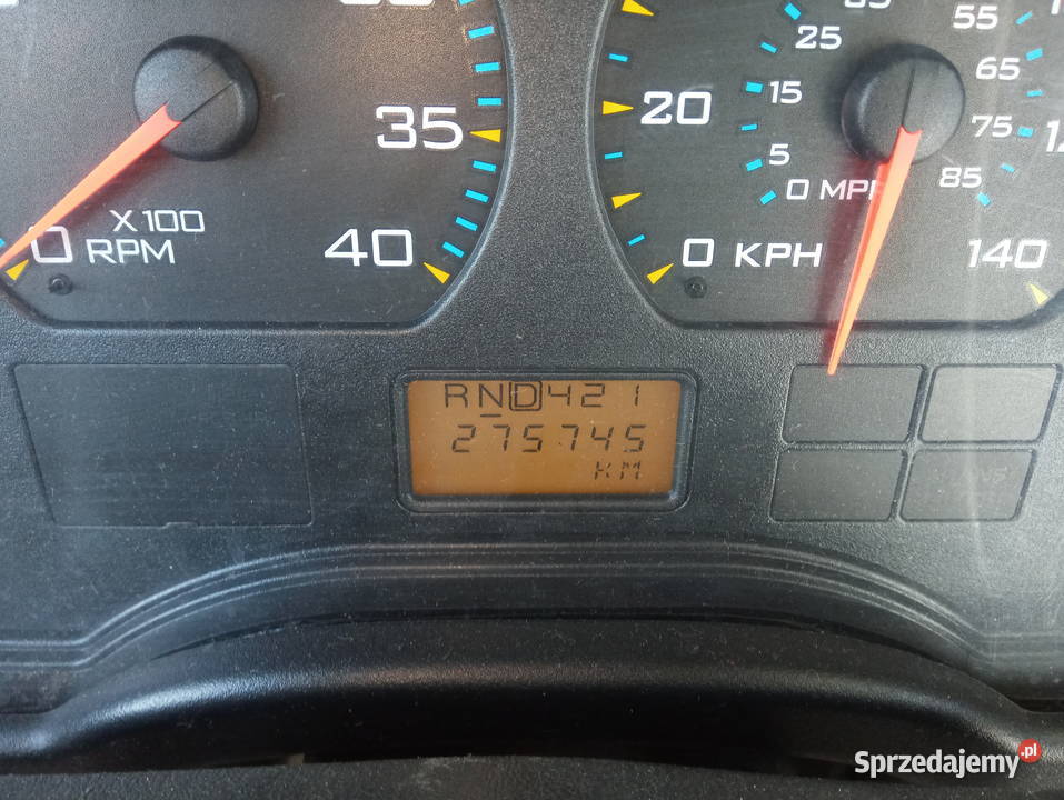 Autobus szkolny School Bus zarejestrowany w Polsce