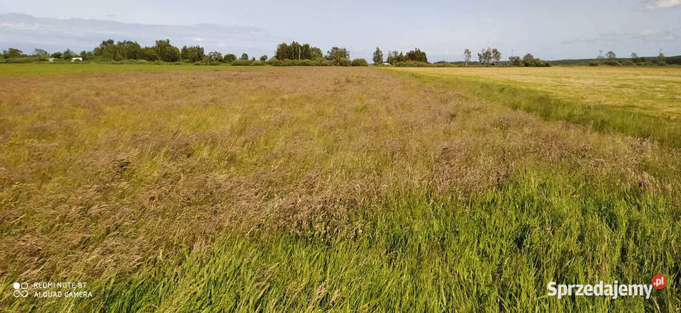 Sprzedam działkę rolną w Dębkach PROMOCJA 3831m2 Sprzedaż Dębki