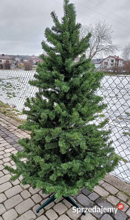 CHOINKA 180 żywa Gęsta zielona świąteczna Brzostek sprzedam
