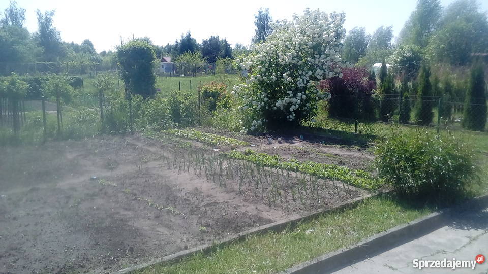 Do sprzedania działka rekreacyjna ROD ZAGRODA Wrocław sprzedam