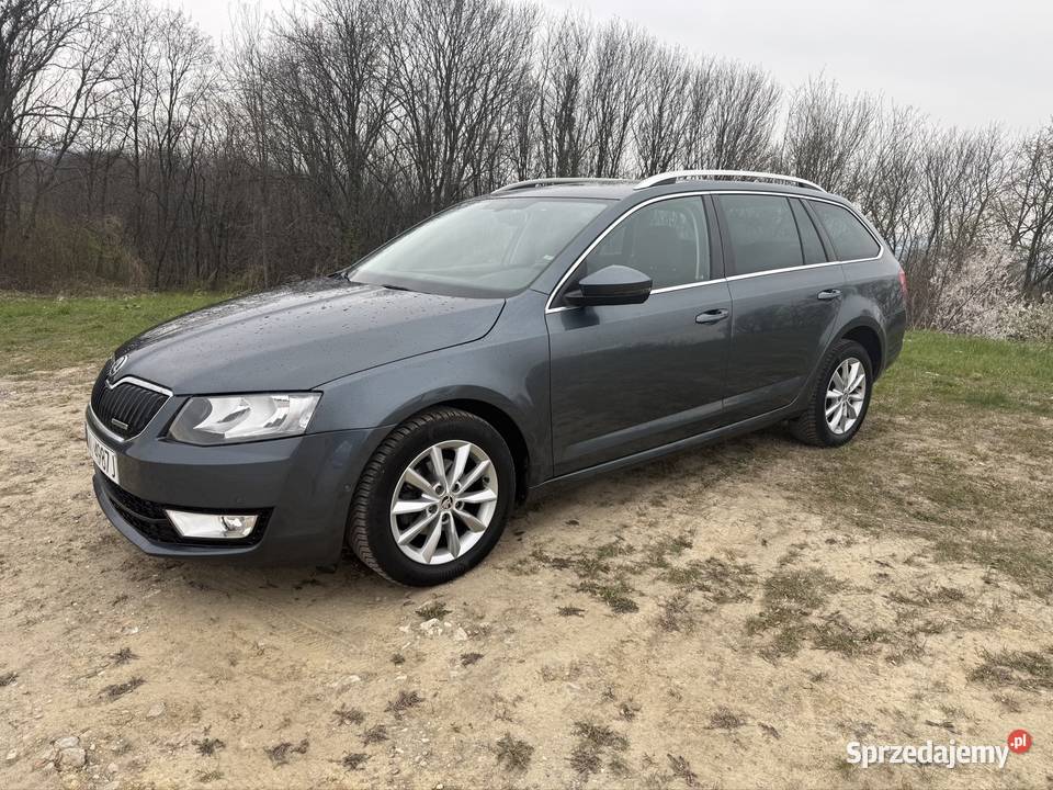 16 TDI Panorama Skóra Kraków