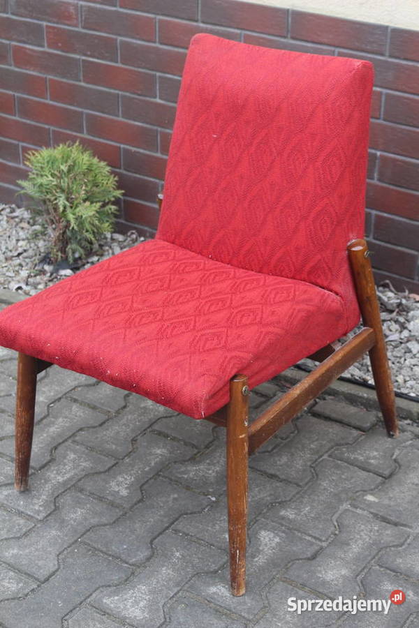 fotel Celia 300227 Kalisz