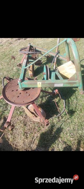 Przetrząsacz pająk małopolskie Nowy Sącz