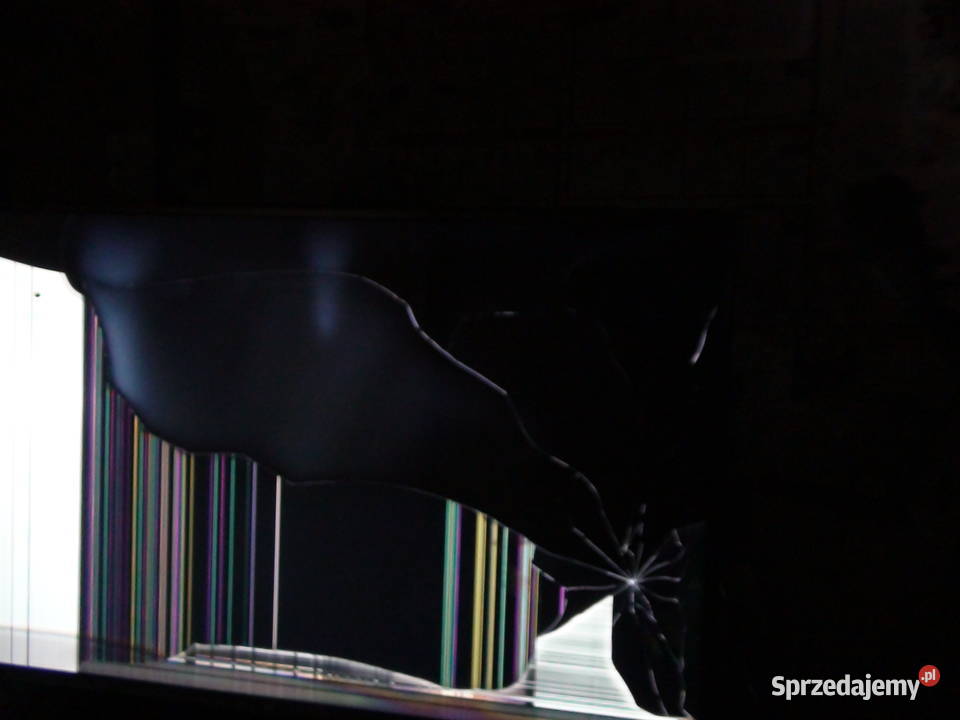 Sprawne częsci do LG42LB650V ZN z 2015 r śląskie