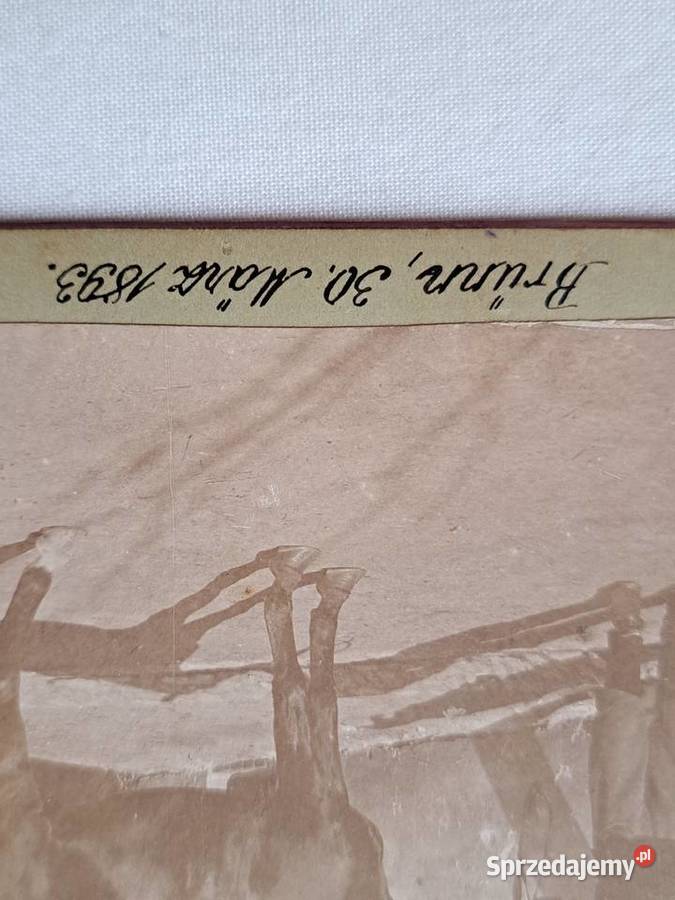 Zdjęcia stare 1893r konie stadnina wojsko Brzesko